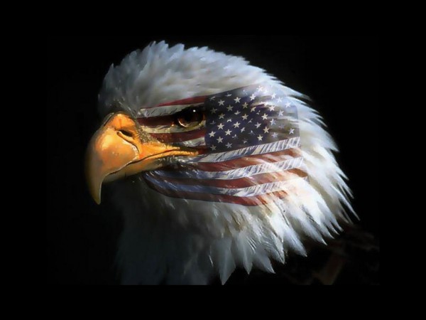 american_eagle__flag1 american_eagle__flag1